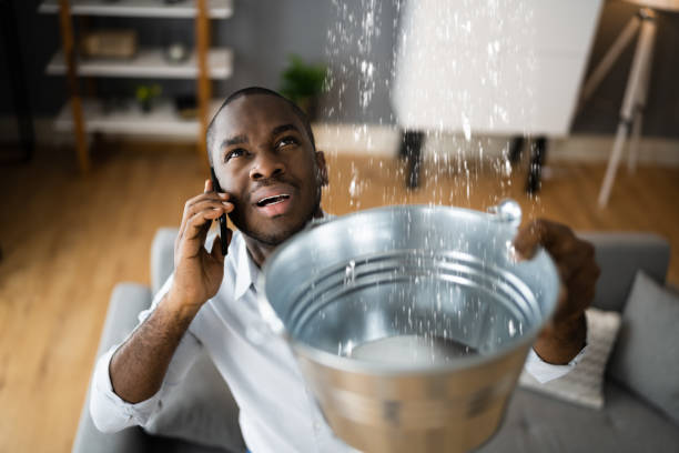 Best Flood restoration services  in Richmond West, FL