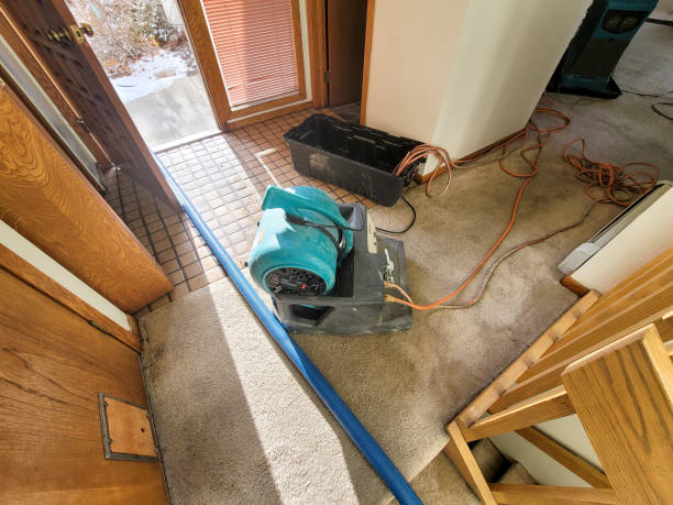 Carpet water damage restoration in FL