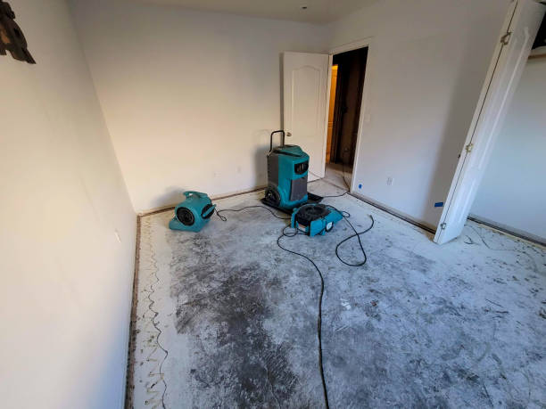 Best Sewage cleanup and water damage restoration  in Richmond West, FL