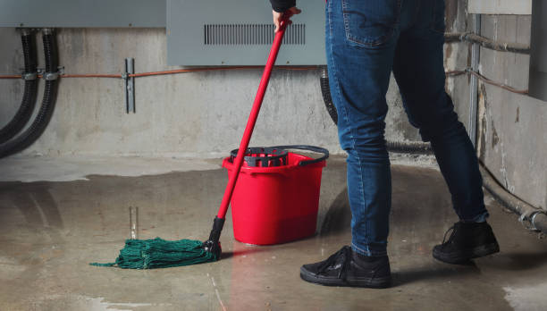 Best Professional water damage repair  in Richmond West, FL