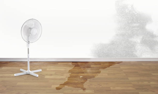 Best Flooded house restoration  in Richmond West, FL