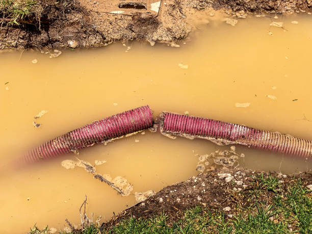 Best 24-hour water damage restoration  in Richmond West, FL