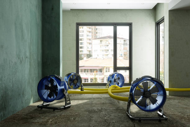 Best Ceiling water damage repair  in Richmond West, FL